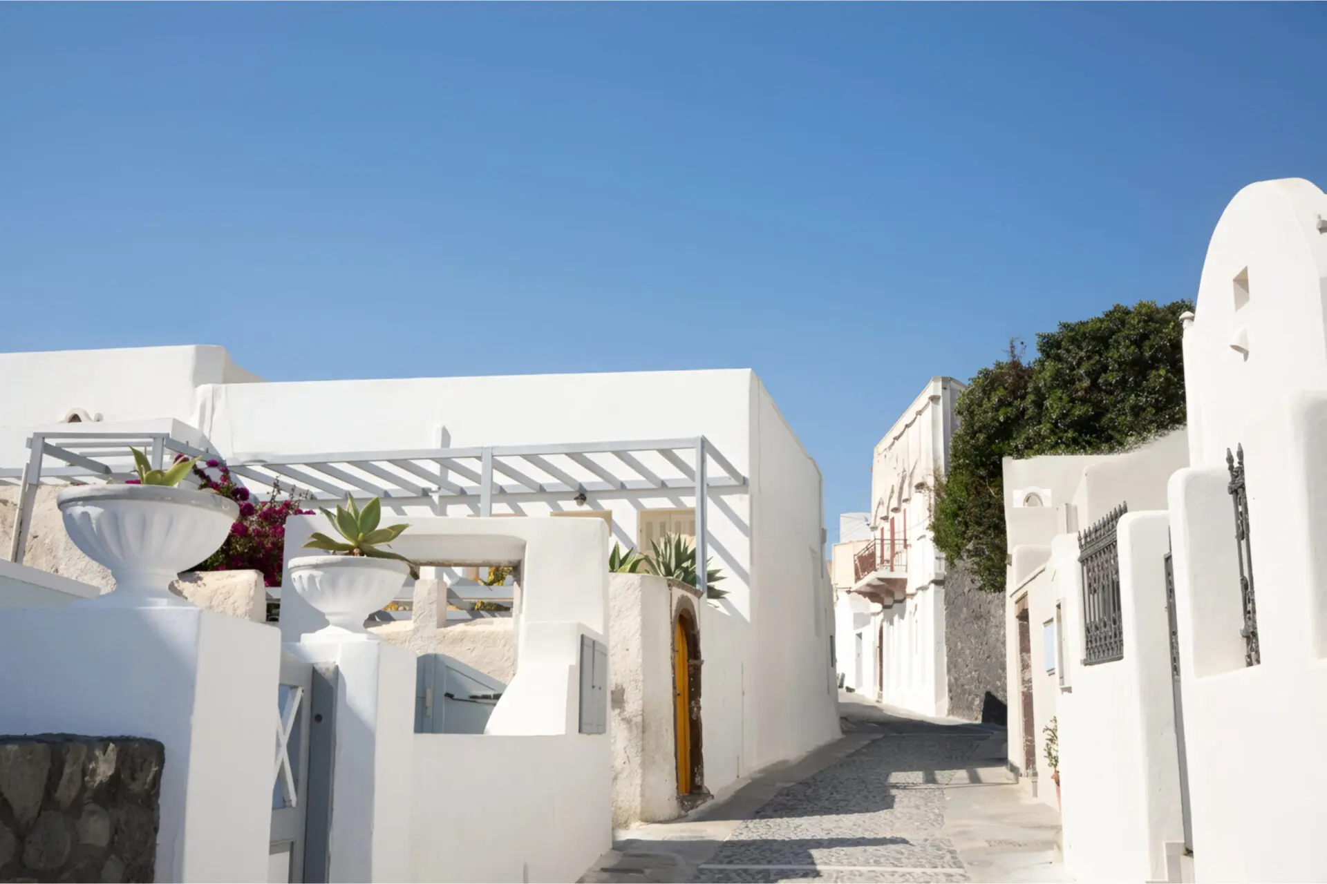 Tailor Made Private Land Tours