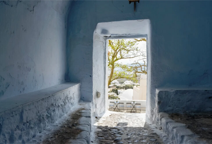 4-Hour Private Mini Bus Tour