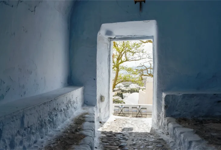 4-Hour Private Mini Bus Tour